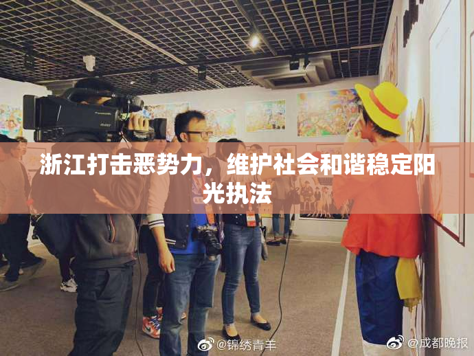 浙江打击恶势力，维护社会和谐稳定阳光执法