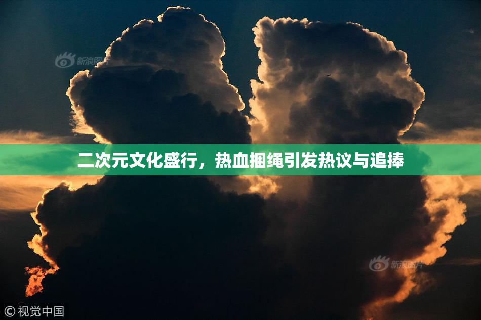 二次元文化盛行，热血捆绳引发热议与追捧