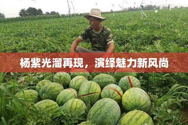 杨紫光溜再现，演绎魅力新风尚
