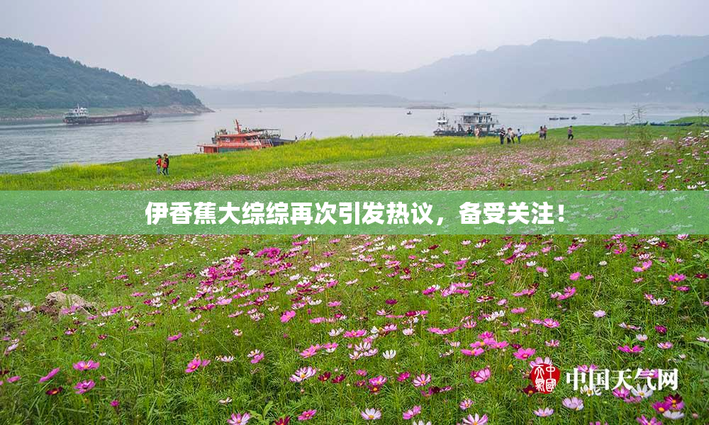 伊香蕉大综综再次引发热议，备受关注！
