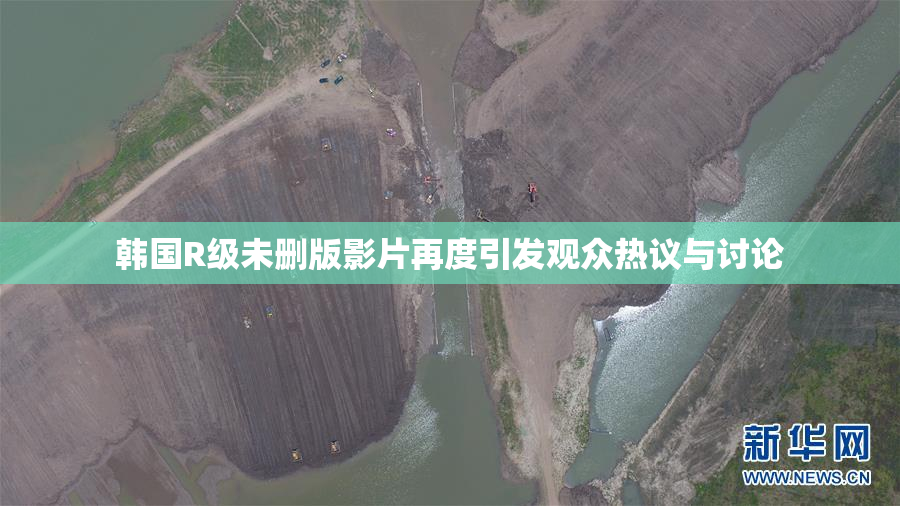 韩国R级未删版影片再度引发观众热议与讨论