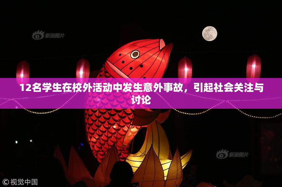 12名学生在校外活动中发生意外事故，引起社会关注与讨论