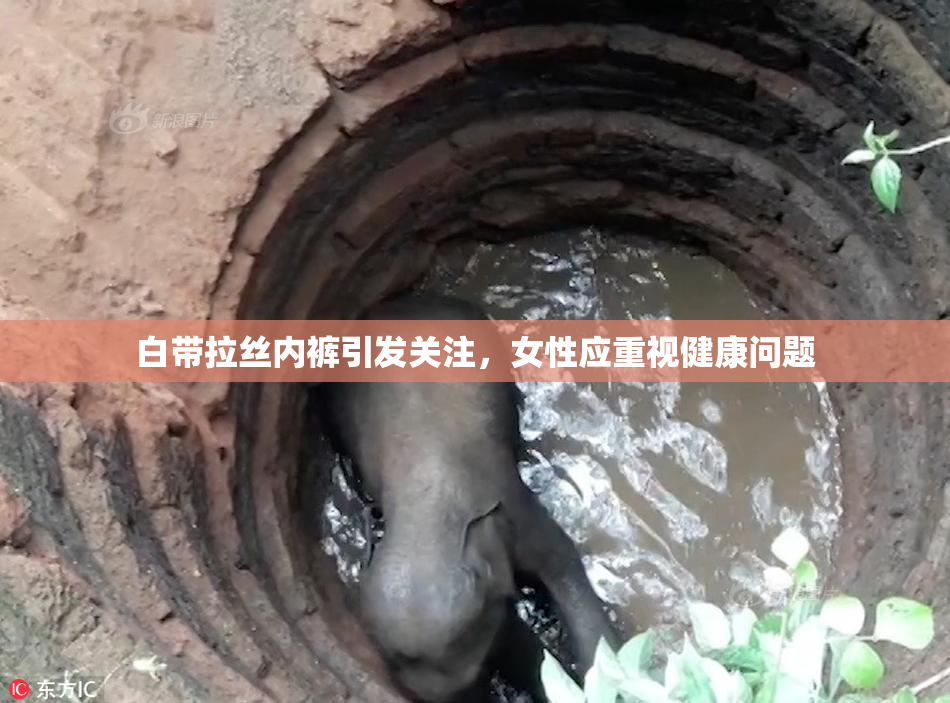 白带拉丝内裤引发关注，女性应重视健康问题