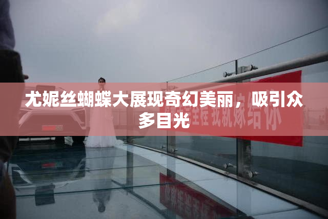 尤妮丝蝴蝶大展现奇幻美丽，吸引众多目光