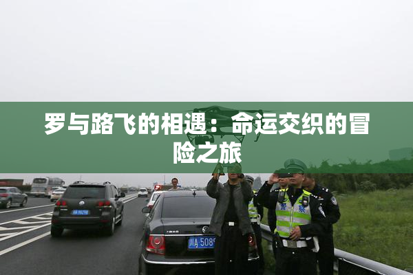 罗与路飞的相遇：命运交织的冒险之旅