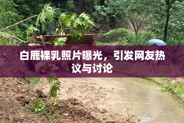 白鹿裸乳照片曝光，引发网友热议与讨论