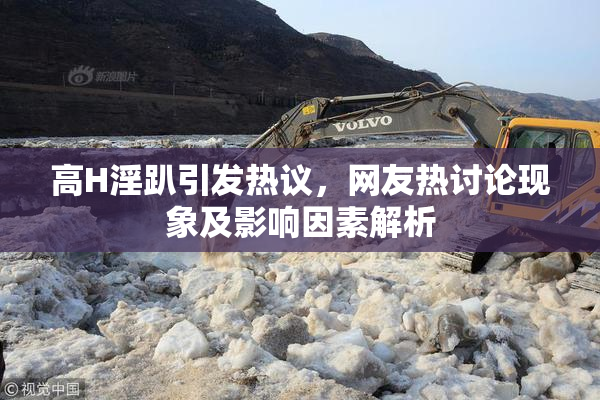 高H淫趴引发热议，网友热讨论现象及影响因素解析