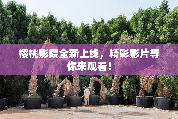 樱桃影院全新上线，精彩影片等你来观看！