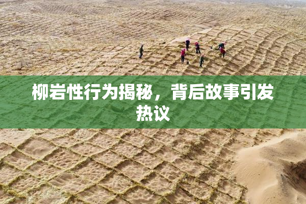 柳岩性行为揭秘，背后故事引发热议