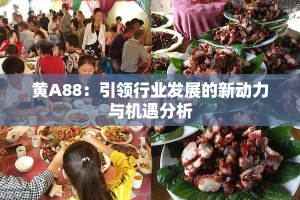 黄A88：引领行业发展的新动力与机遇分析