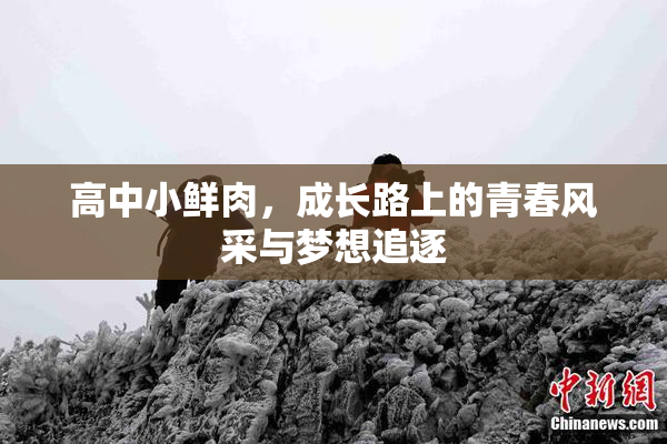 高中小鲜肉，成长路上的青春风采与梦想追逐