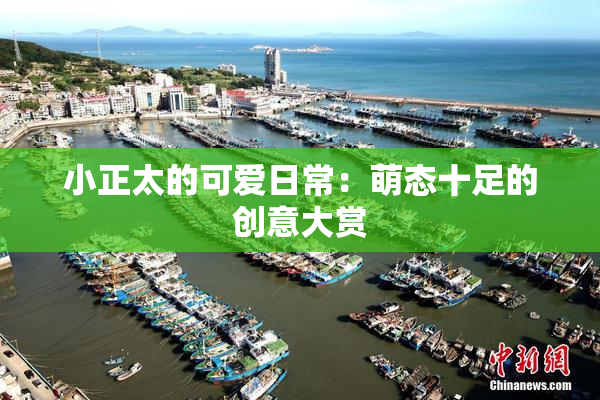 小正太的可爱日常：萌态十足的创意大赏