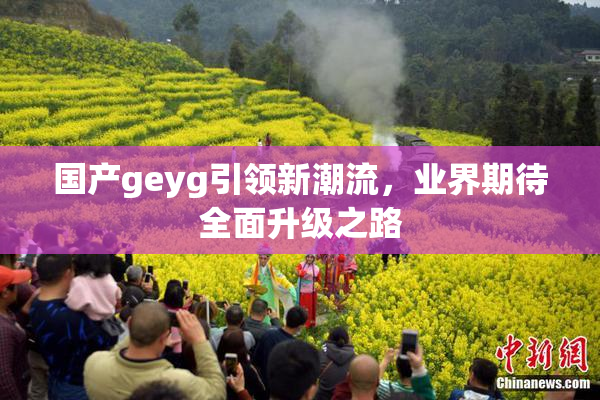 国产geyg引领新潮流，业界期待全面升级之路