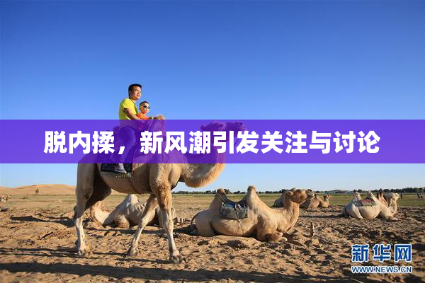 脱内揉，新风潮引发关注与讨论