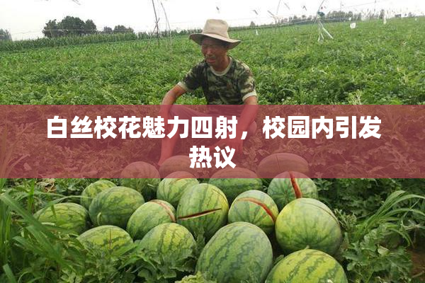 白丝校花魅力四射，校园内引发热议