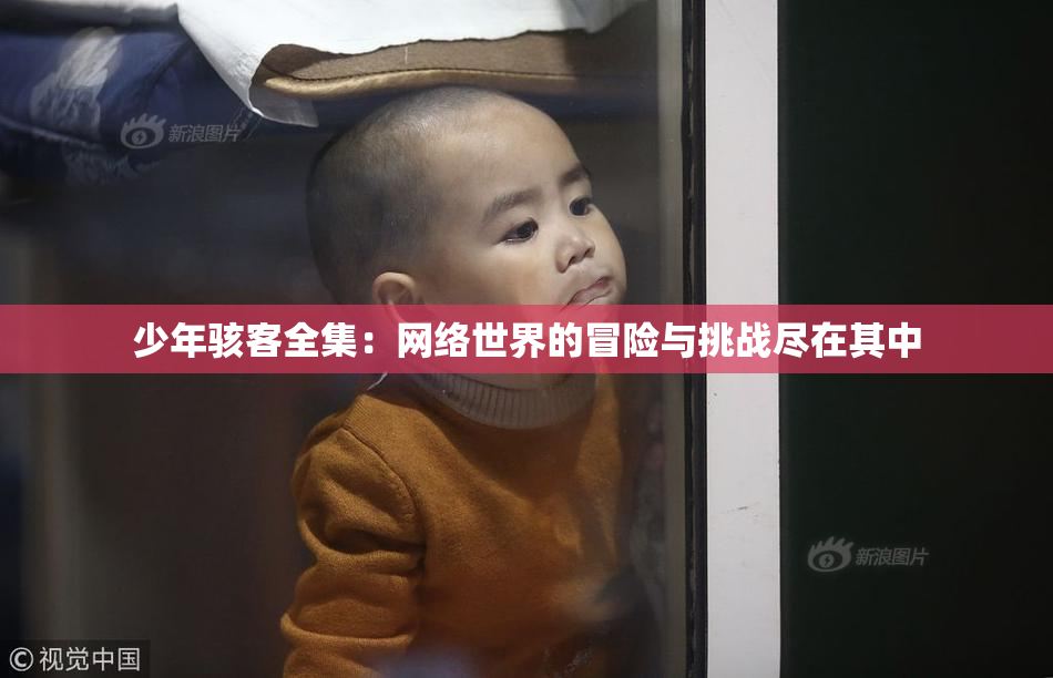 少年骇客全集：网络世界的冒险与挑战尽在其中