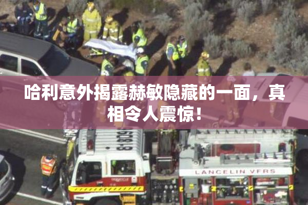 哈利意外揭露赫敏隐藏的一面，真相令人震惊！