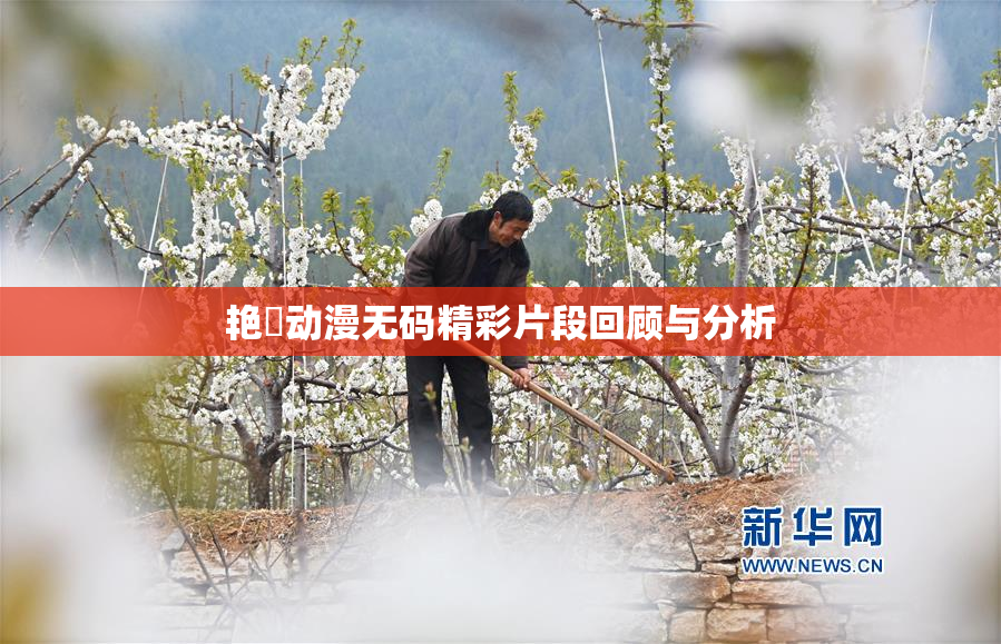 艳鉧动漫无码精彩片段回顾与分析