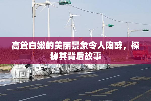 高耸白嫩的美丽景象令人陶醉，探秘其背后故事