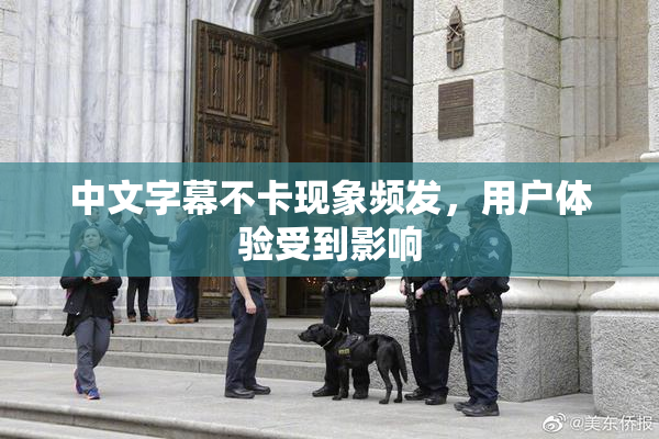中文字幕不卡现象频发，用户体验受到影响