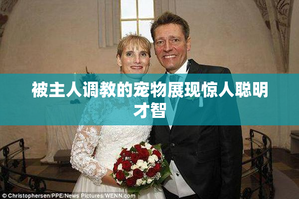 被主人调教的宠物展现惊人聪明才智