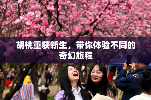 胡桃重获新生，带你体验不同的奇幻旅程