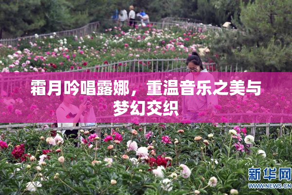 霜月吟唱露娜，重温音乐之美与梦幻交织