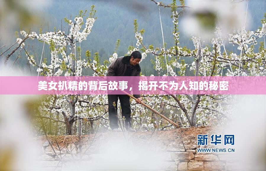 美女扒精的背后故事，揭开不为人知的秘密