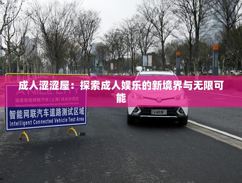 成人涩涩屋：探索成人娱乐的新境界与无限可能