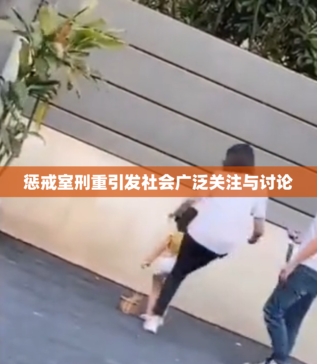 惩戒室刑重引发社会广泛关注与讨论