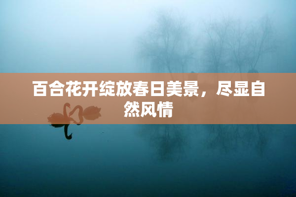 百合花开绽放春日美景，尽显自然风情