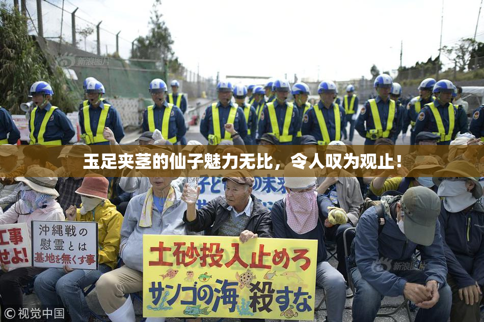 玉足夹茎的仙子魅力无比，令人叹为观止！