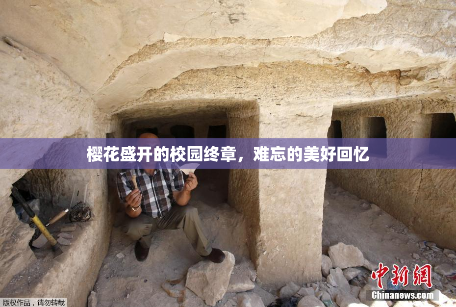 樱花盛开的校园终章，难忘的美好回忆