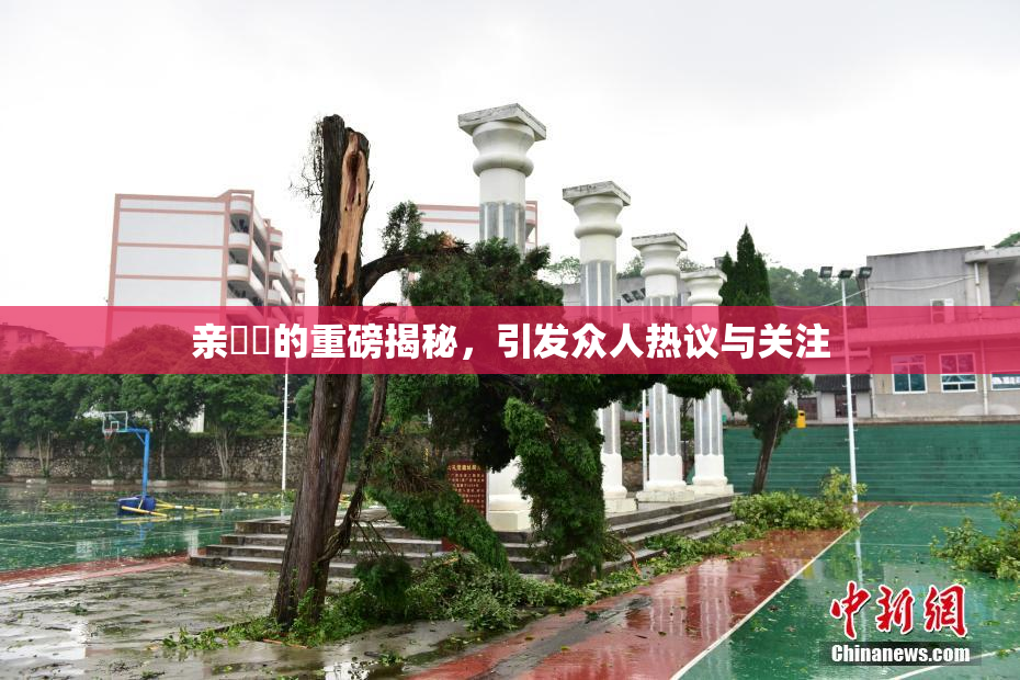 亲妺妺的重磅揭秘，引发众人热议与关注