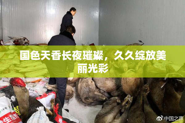 国色天香长夜璀璨，久久绽放美丽光彩