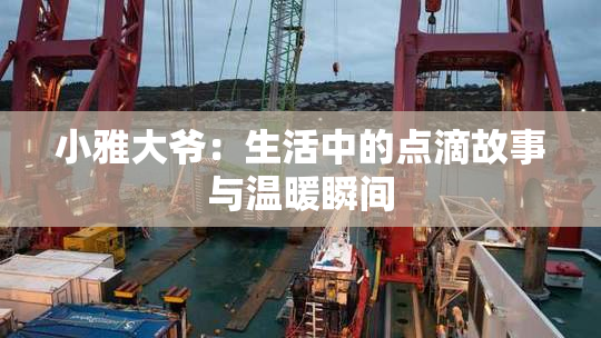 小雅大爷：生活中的点滴故事与温暖瞬间