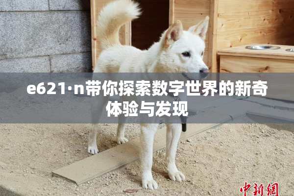 e621·n带你探索数字世界的新奇体验与发现