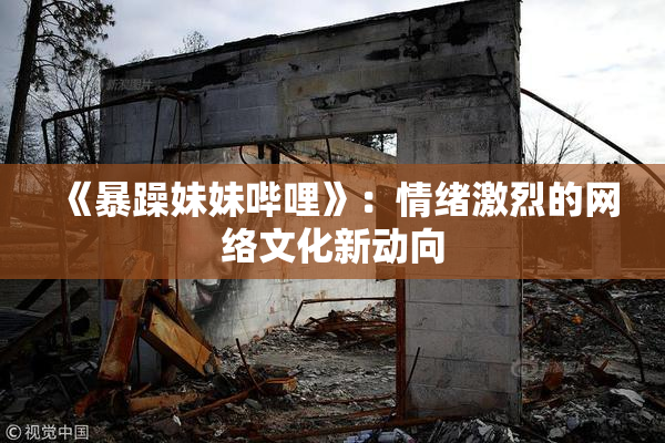 《暴躁妹妹哔哩》：情绪激烈的网络文化新动向