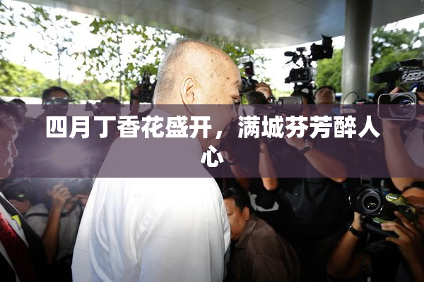 四月丁香花盛开，满城芬芳醉人心
