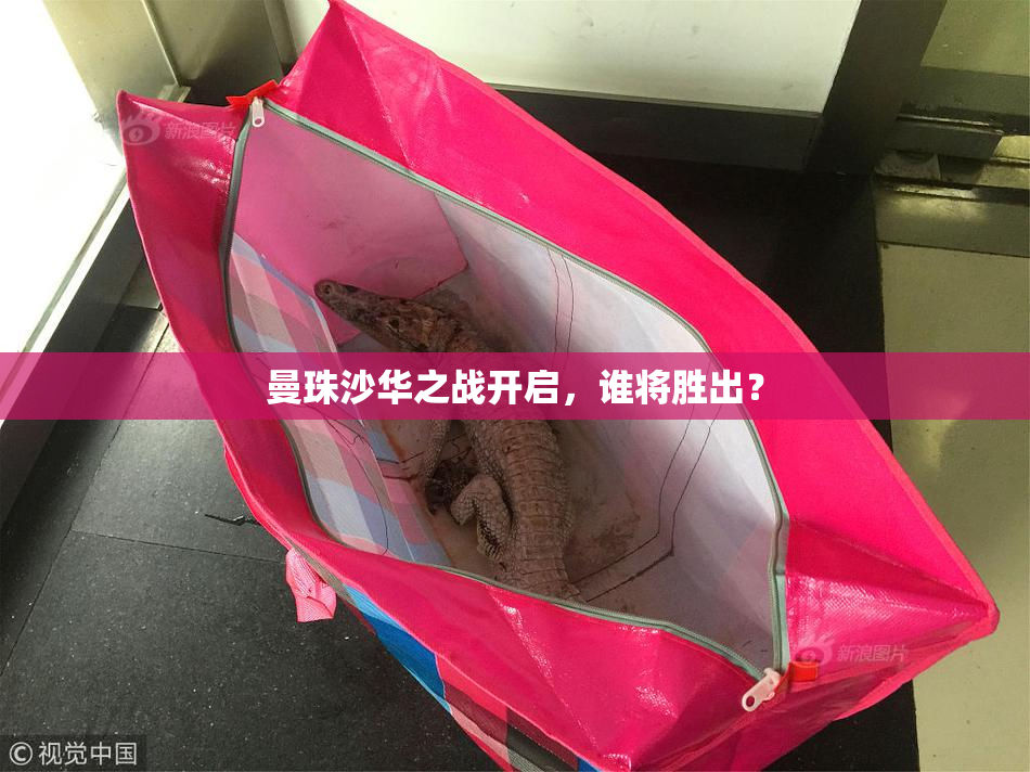 曼珠沙华之战开启，谁将胜出？