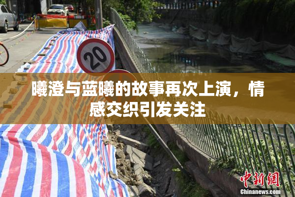 曦澄与蓝曦的故事再次上演，情感交织引发关注