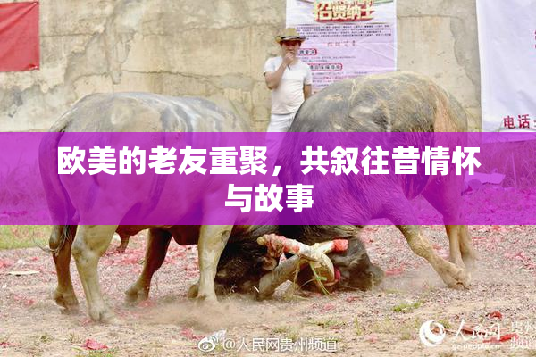 欧美的老友重聚，共叙往昔情怀与故事