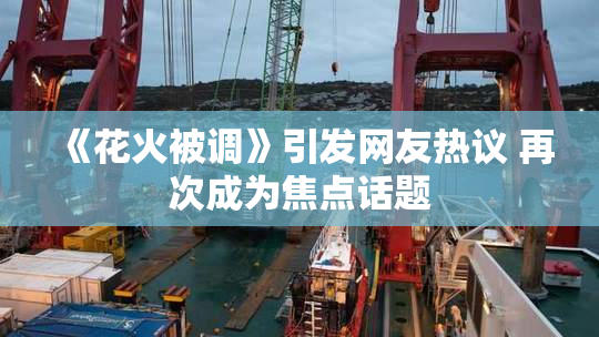 《花火被调》引发网友热议 再次成为焦点话题
