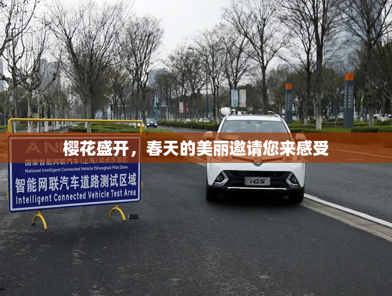 樱花盛开，春天的美丽邀请您来感受