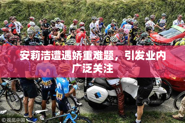 安莉洁遭遇娇重难题，引发业内广泛关注