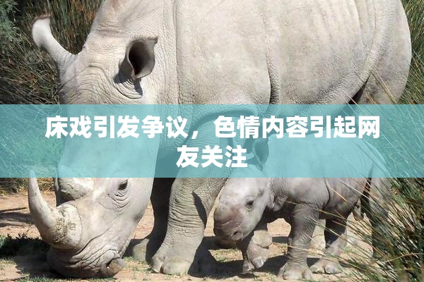 床戏引发争议，色情内容引起网友关注