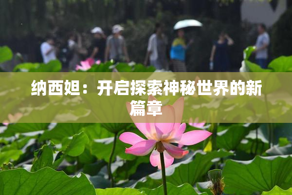 纳西妲：开启探索神秘世界的新篇章