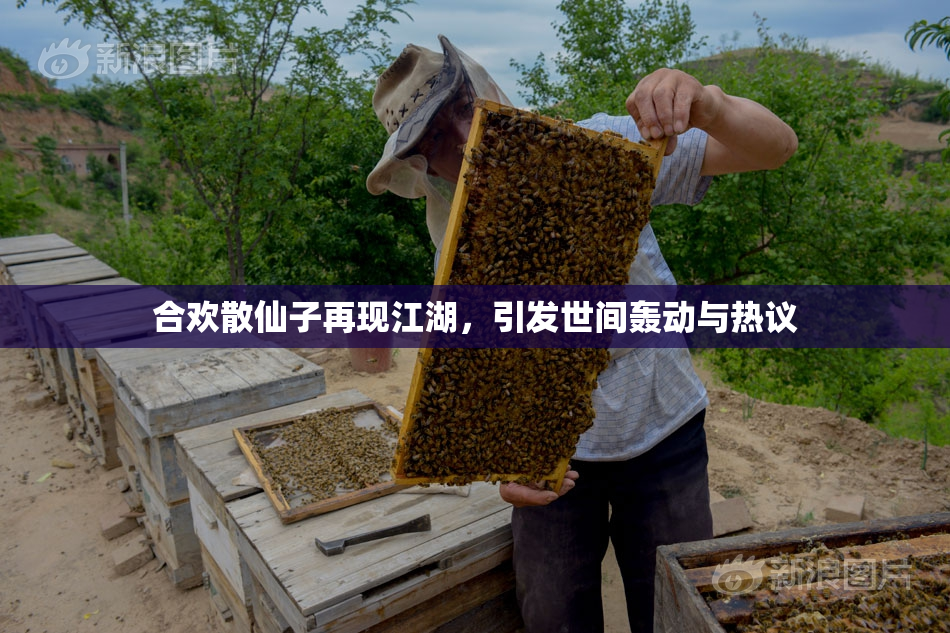 合欢散仙子再现江湖，引发世间轰动与热议