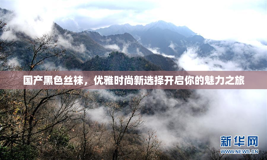 国产黑色丝袜，优雅时尚新选择开启你的魅力之旅