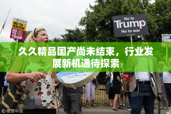 久久精品国产尚未结束，行业发展新机遇待探索